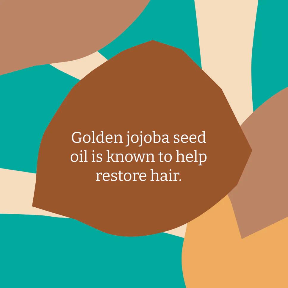 Jojoba Shampoo - 400ml - Image 3