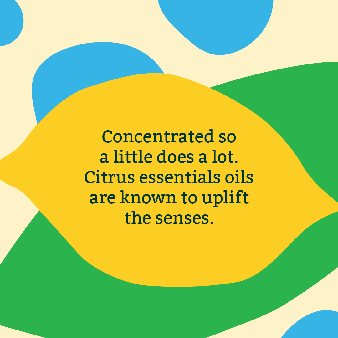 Lemon Washing Up Liquid - 2.5L - Image 5