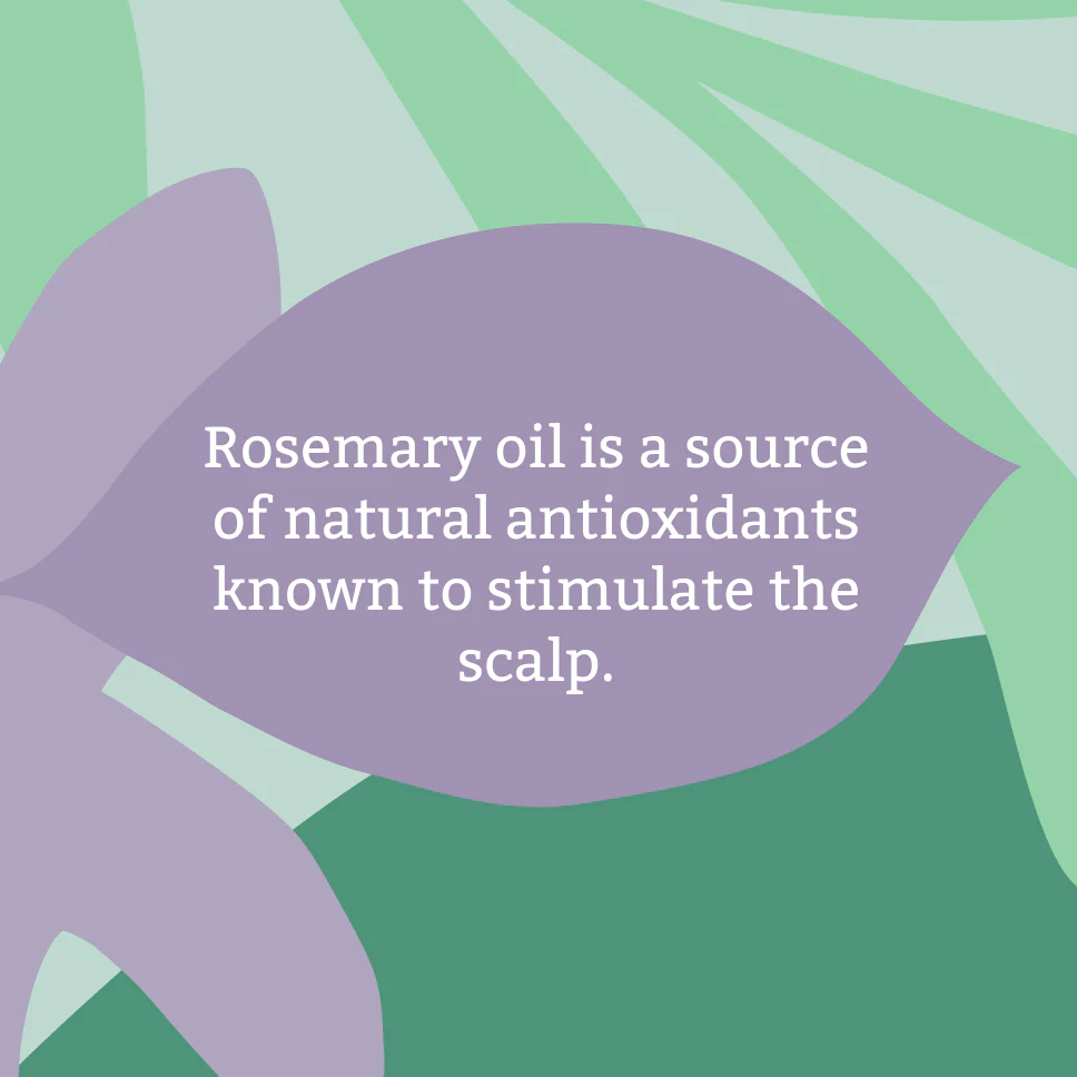 Rosemary Shampoo - 1L - Image 4