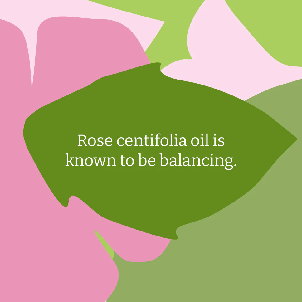 Wild Rose Body Wash - 400ml - Image 5